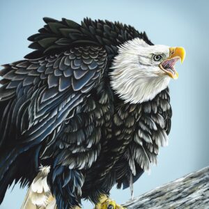Home of the Brave 8x10