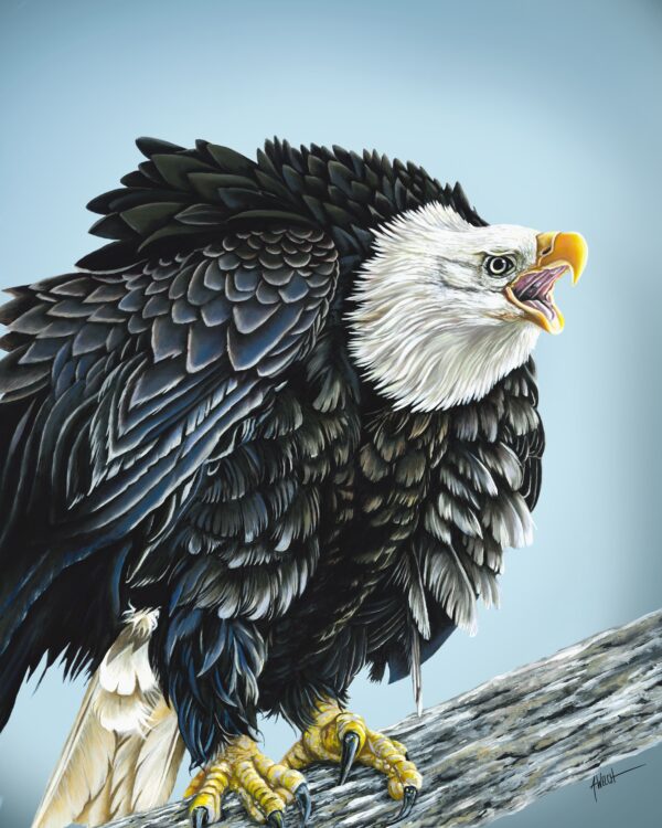 Home of the Brave 8x10