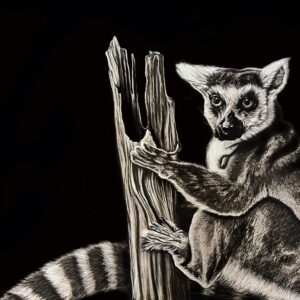 Lemur 8x10