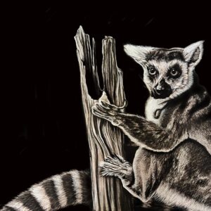 Lemur 8x10