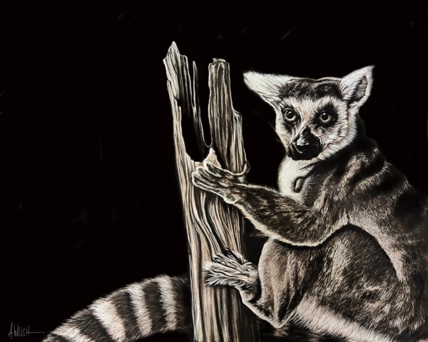 Lemur 8x10
