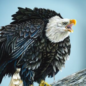Home of the Brave 16x20