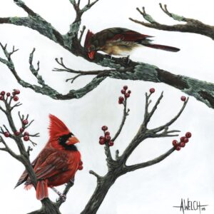12x12 Cardinal Love