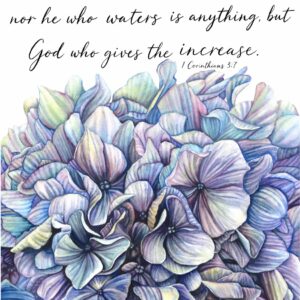 God Gives the Increase 8x10